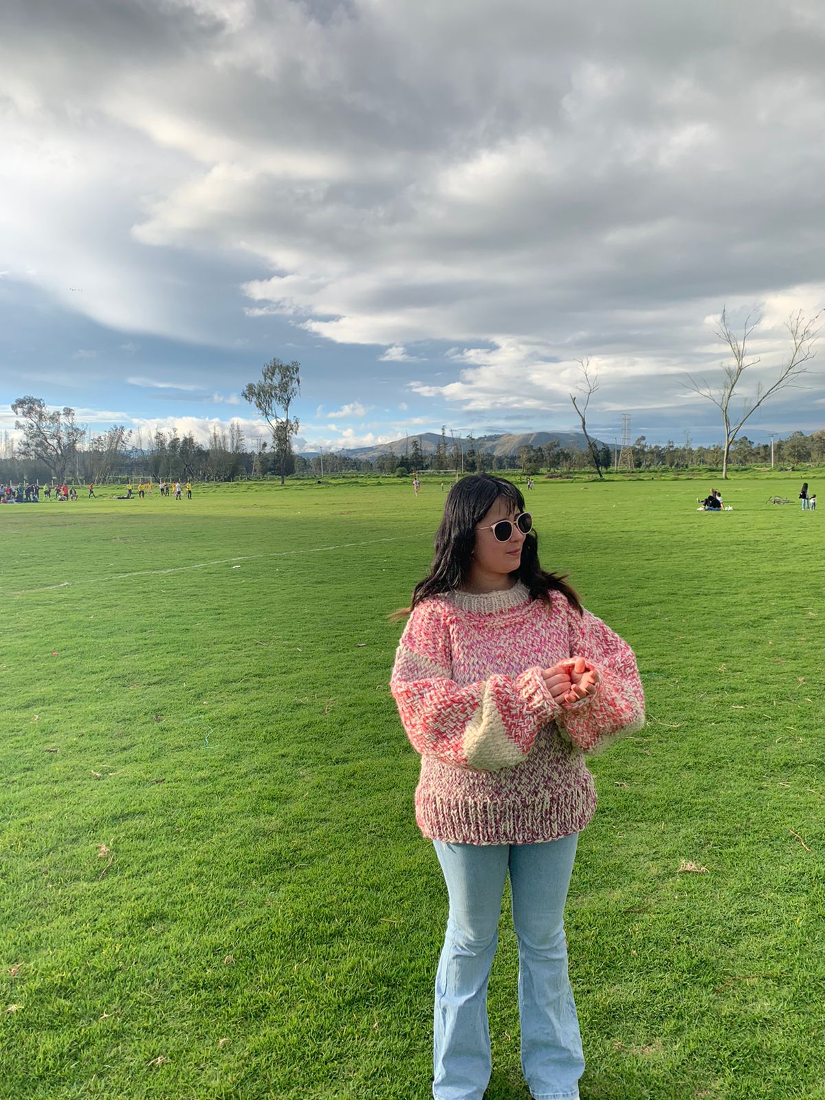 Diseña y Teje tu Primer Sweater - Curso Pregrabado con Acceso Inmediato